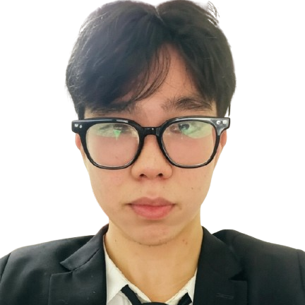 developer